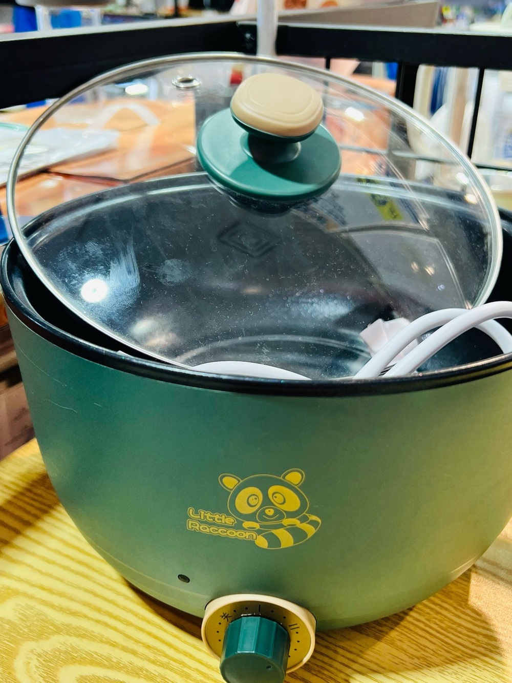 Little Raccoon Electric Cooker in Teal and Cream